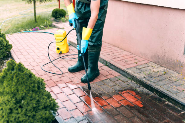 Best Dumpster Area Cleaning  in Zapata, TX