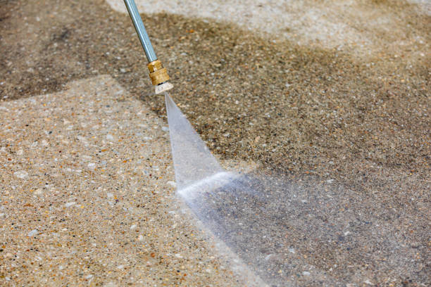 Best Gutter Cleaning  in Zapata, TX