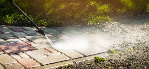 Best House Exterior Washing  in Zapata, TX