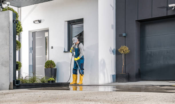 Best Graffiti Removal  in Zapata, TX